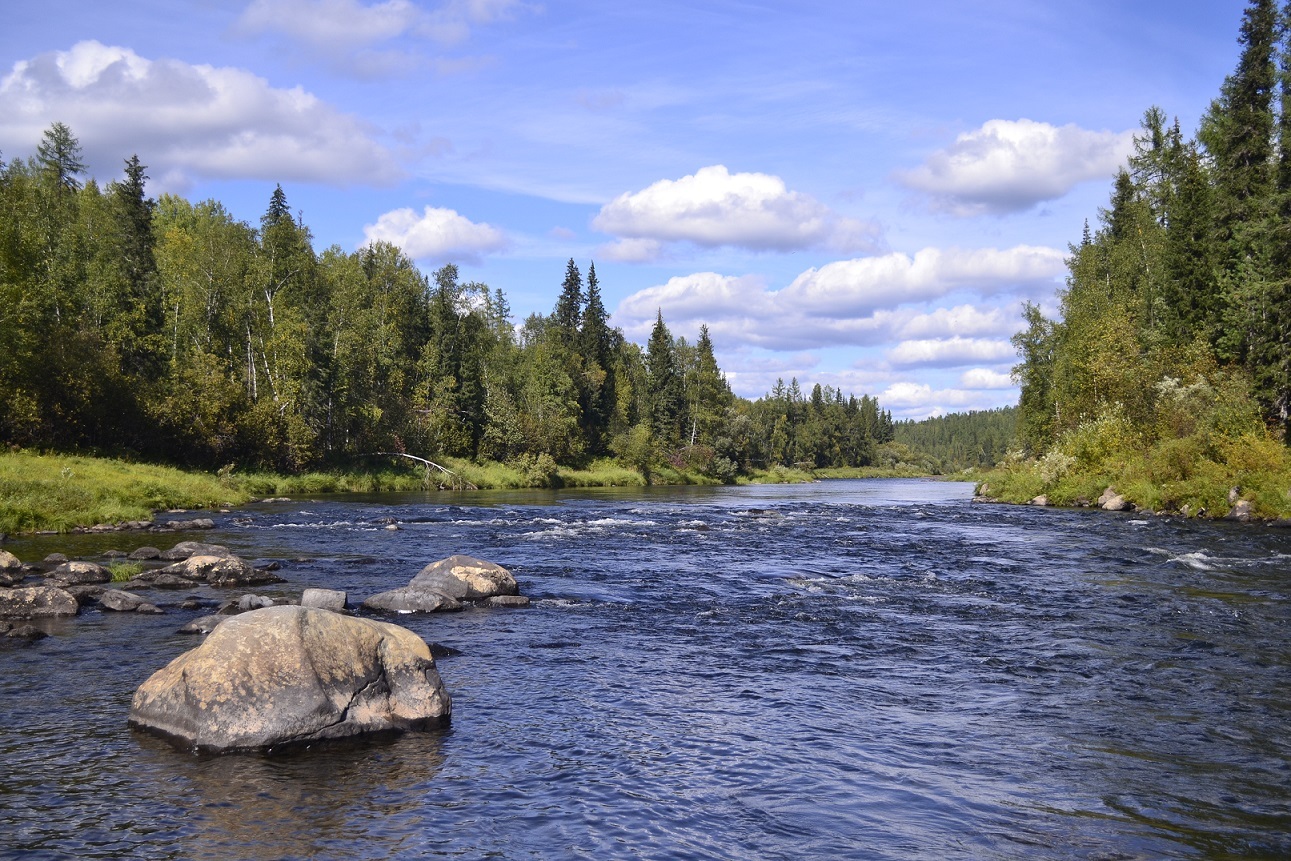 <span style="font-weight: bold;"> Река Столбовая </span>